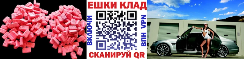 kraken   Чехов  ЭКСТАЗИ Philipp Plein 