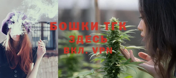 соль ск Липки