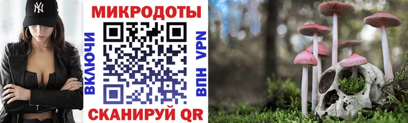 Псилоцибиновые грибы MAGIC MUSHROOMS  как найти   Чехов 