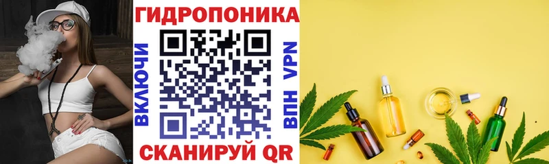 МАРИХУАНА сатива  Чехов 